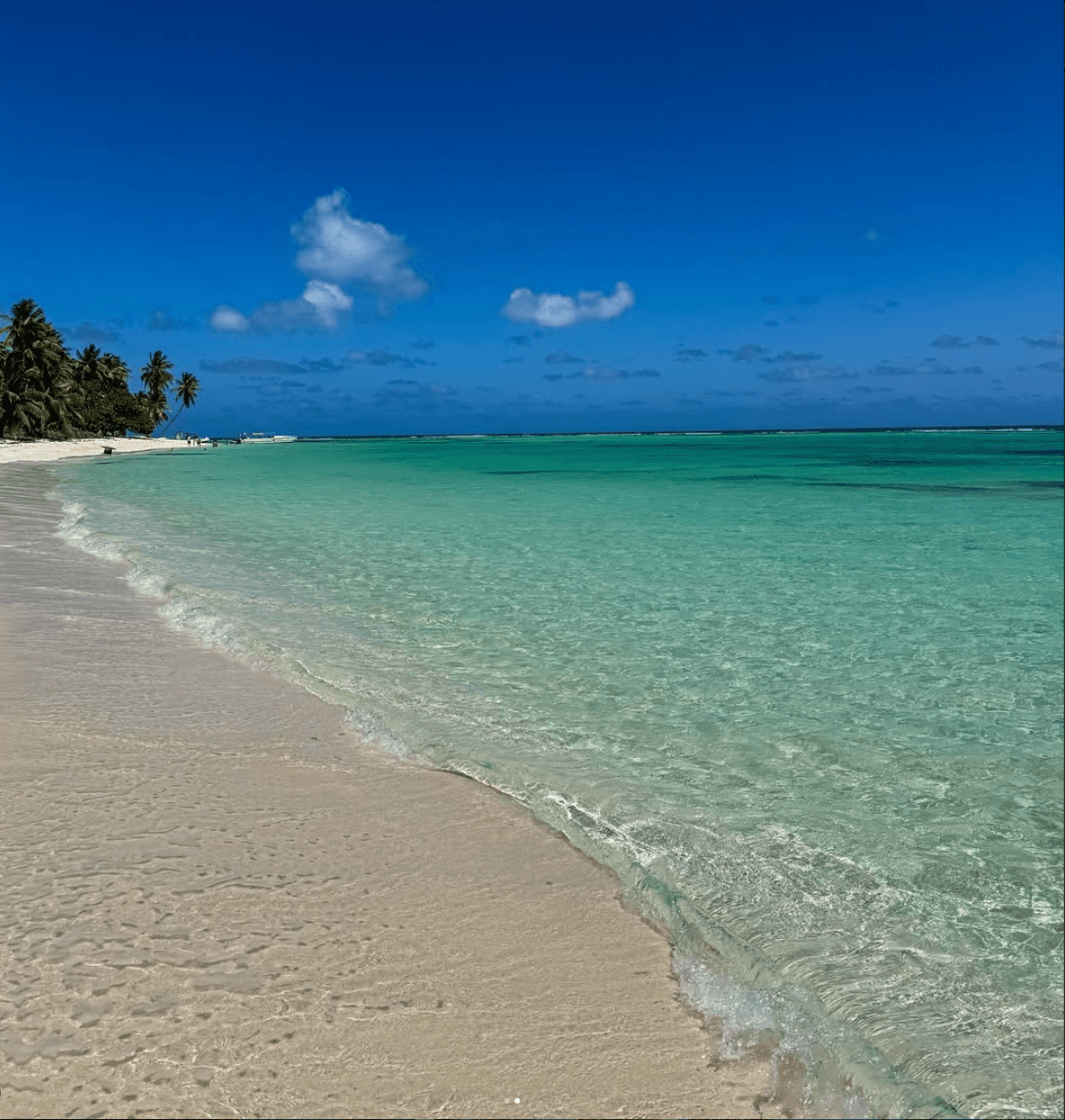 Saona Island Excursion